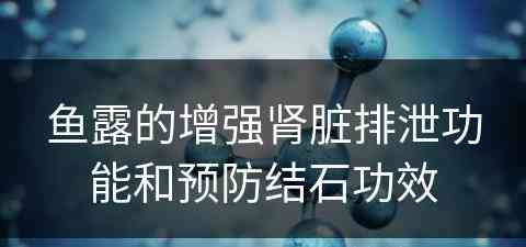 鱼露的增强肾脏排泄功能和预防结石功效